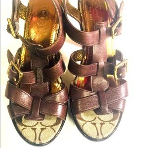 Coach Signature Brown Buckle Strap Sandal Size 8 B